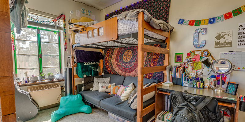 A university residence hall room with loft bed, couch, and desk